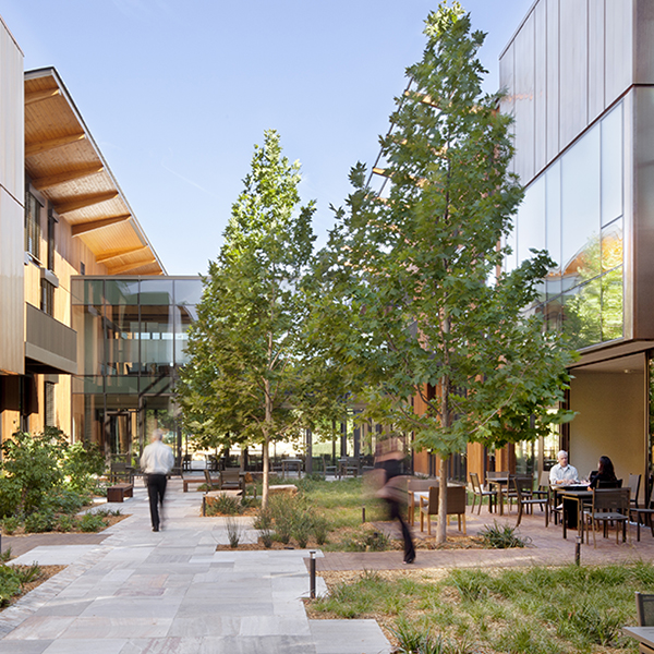 Courtyard of the David and Lucile Packard Foundation in Occupant Study