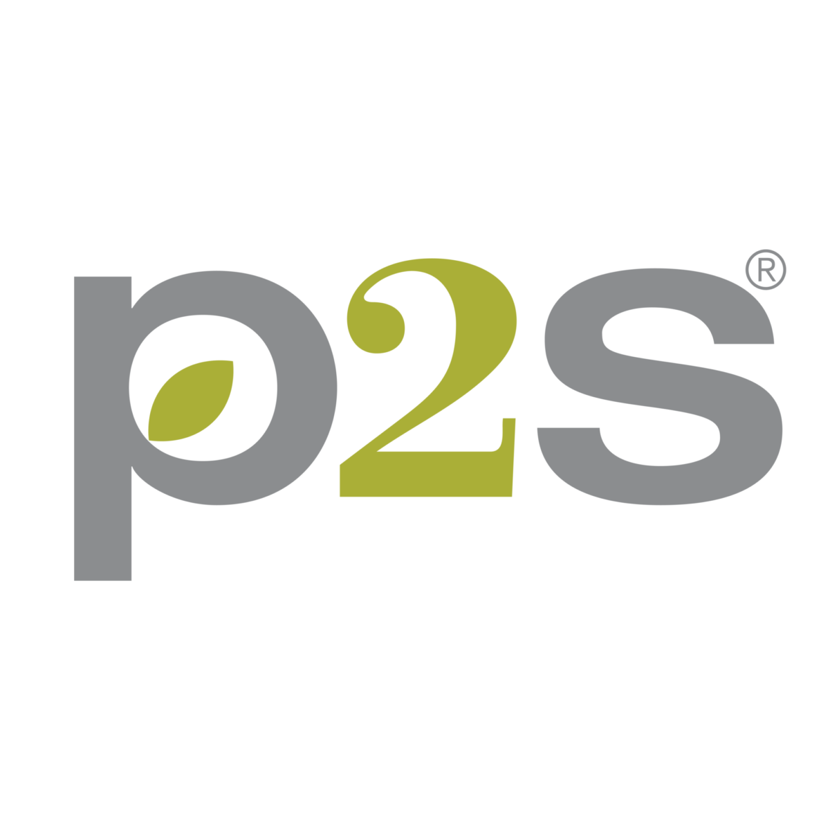 logo-P2S