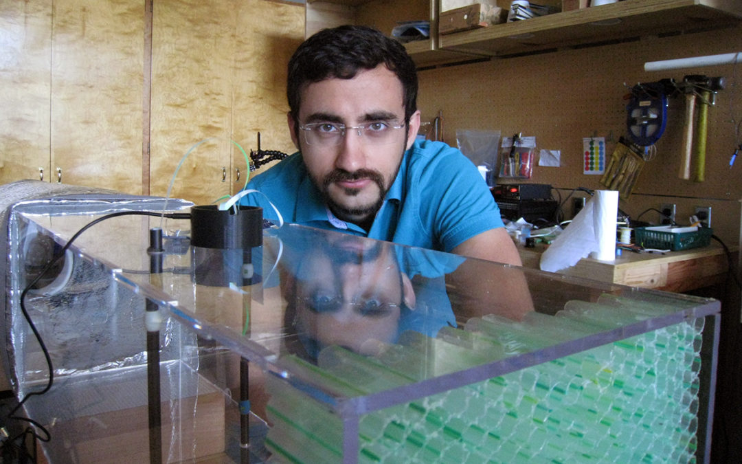 Interview with Ali Ghahramani: From Civil Engineering to Physiology