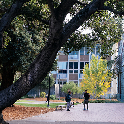 UC Berkeley Landscape